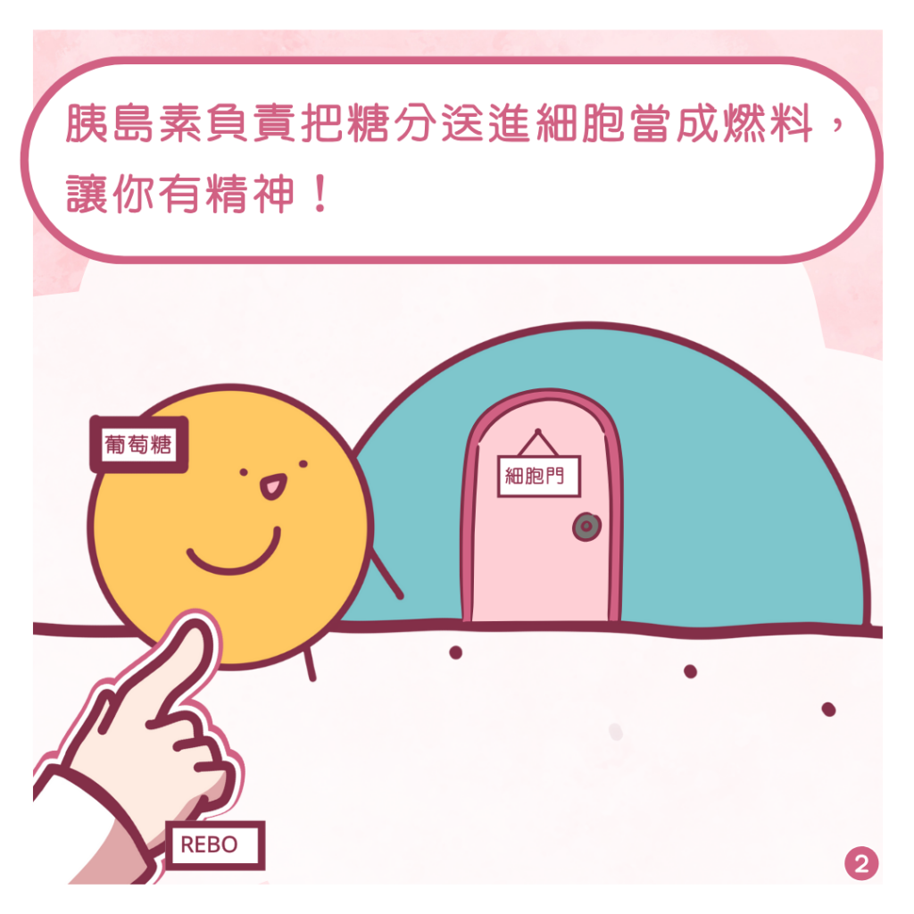 胰島素與糖癮